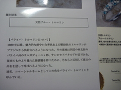 tourmaline230806 005.JPG